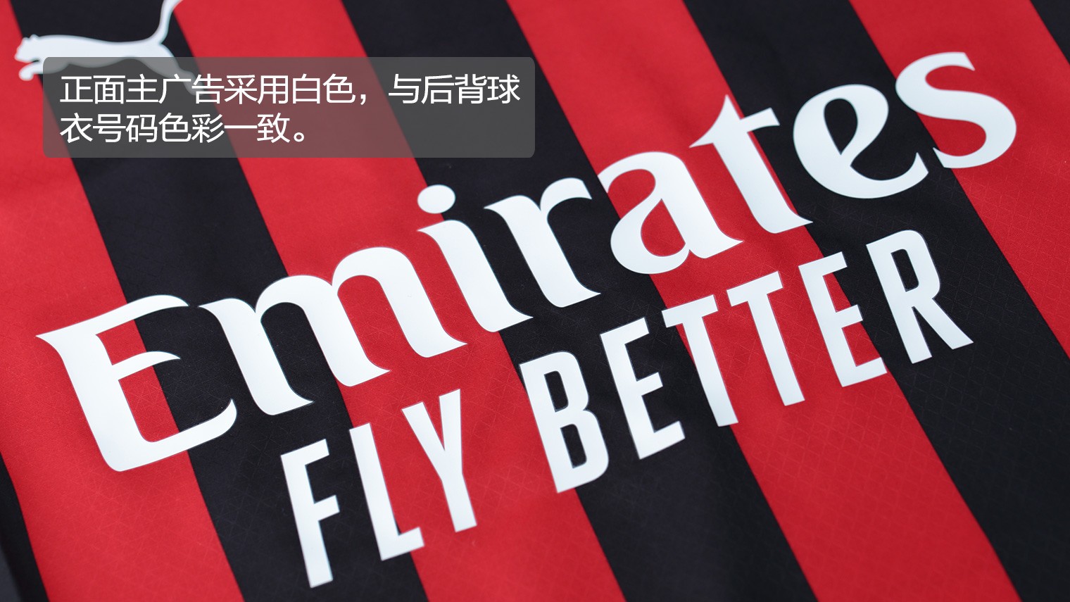 8月XGP离库游戏公布：《影子武士3》等四款